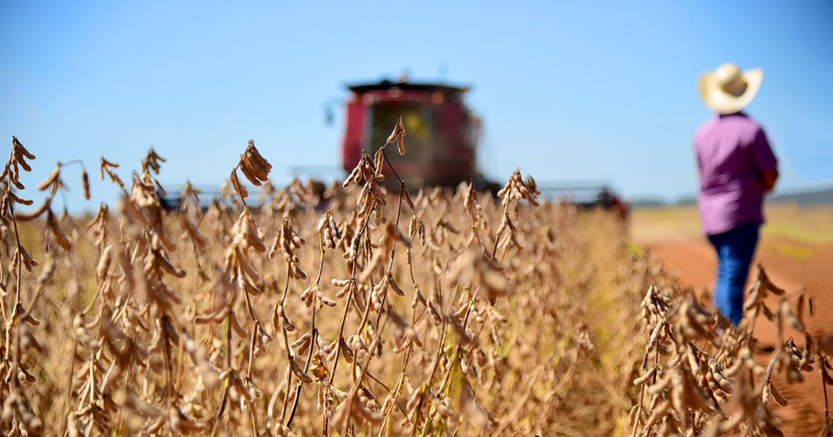 Biond Agro Prev Redu O De Quatro Milh Es De Toneladas Na Safra De