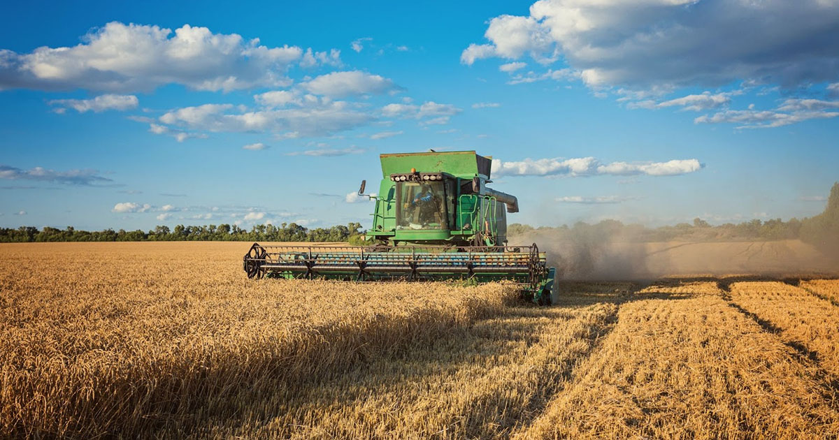 Entenda Os Impactos Do El Ni O No Agro E Como Isso Afeta A Cadeia Da