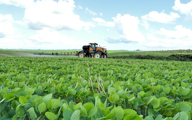 Anvisa indefere registros de agroquímicos após 10 anos