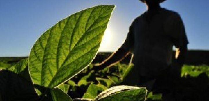 Recursos humanos e os desafios para o agronegócio