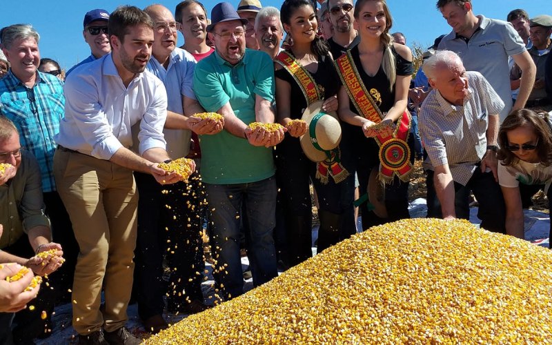 Abertura Oficial da Colheita do Milho no Estado