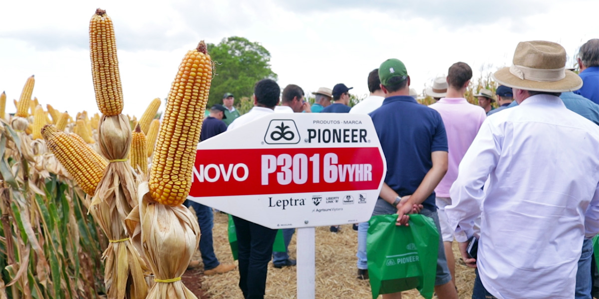 Dia de Campo na área tecnológica Corteva e Pioneer
