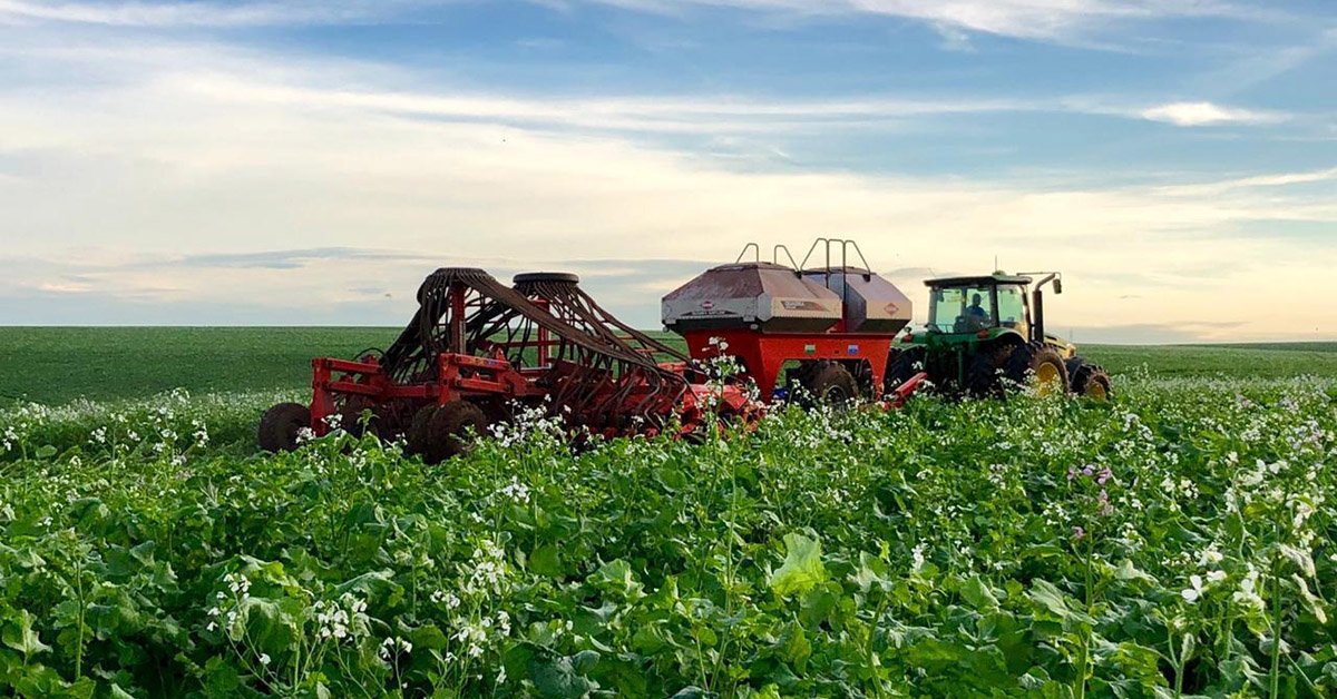 Plantio de inverno: é hora de fertilizar e proteger o solo