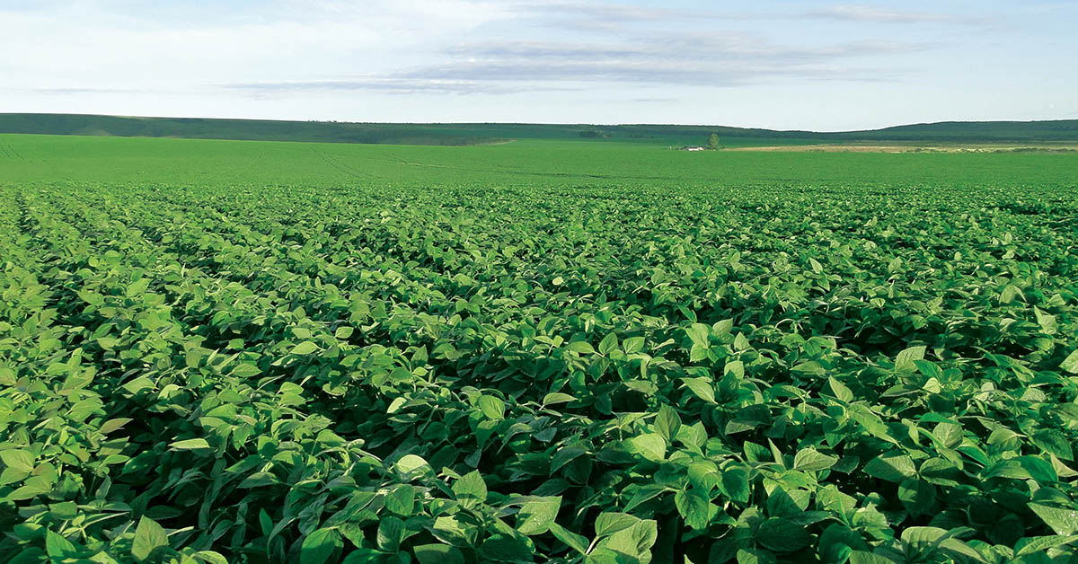 Rentabilidade e demanda por alimentos colocam agricultura na era digital