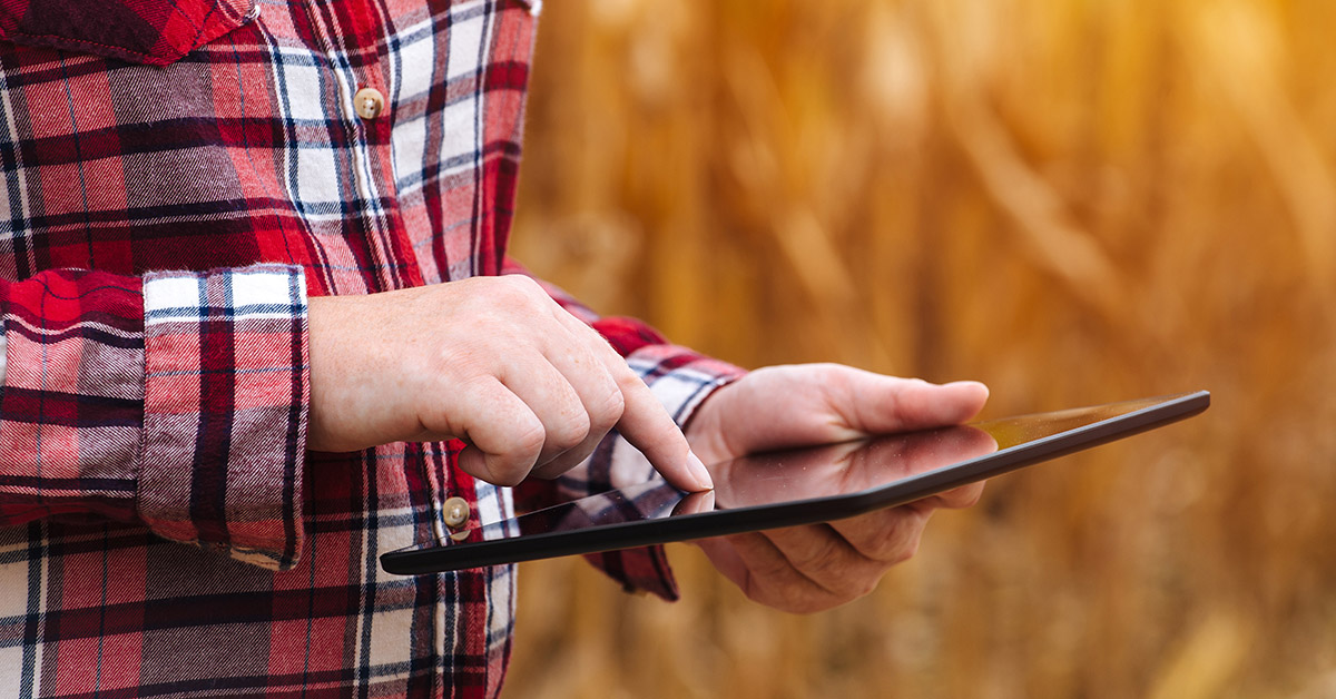 DigiFarmz: a plataforma de manejo das principais doenças da soja