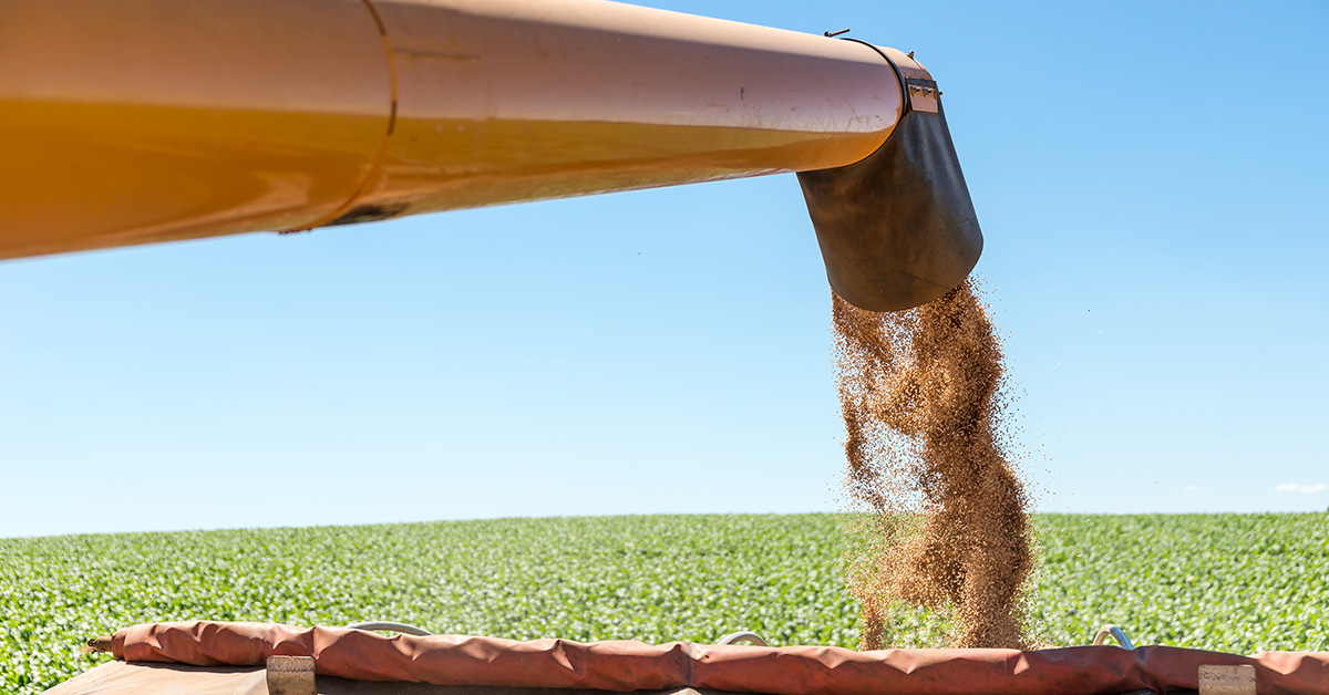Trigo e soja: resultados são positivos dentro do sistema de produção