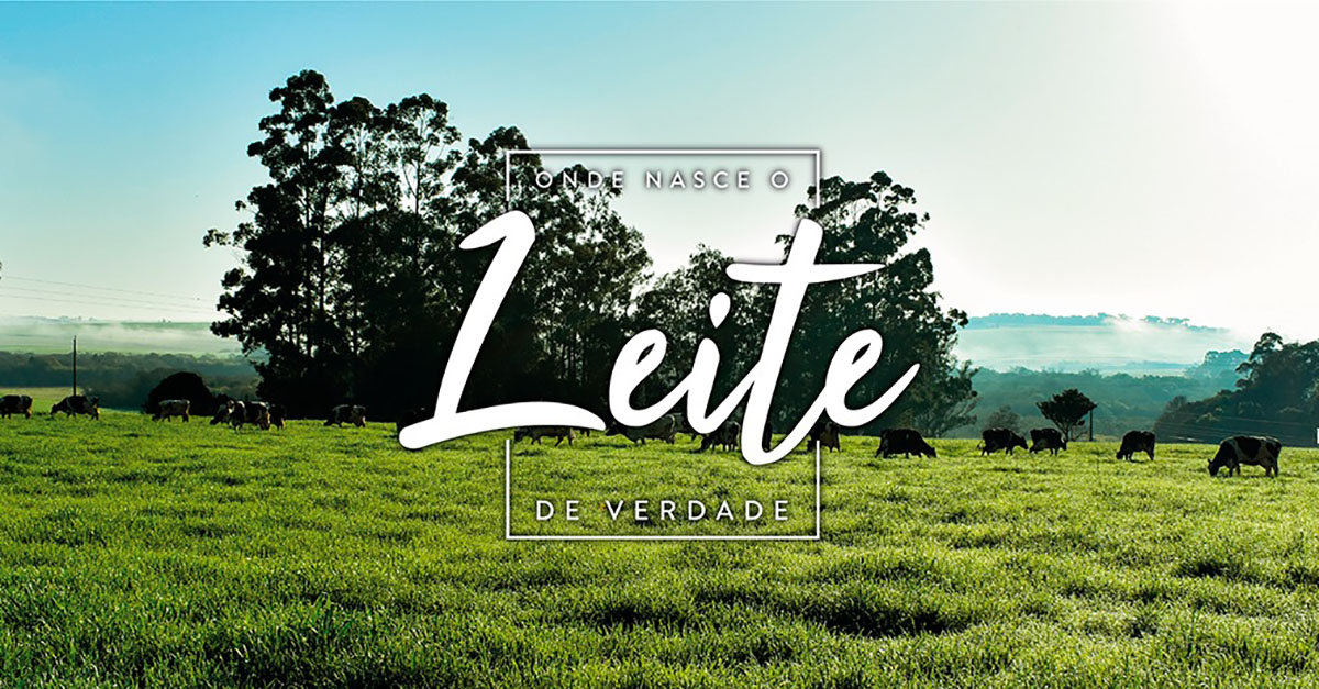 CCGL lança nova campanha para seus produtos lácteos