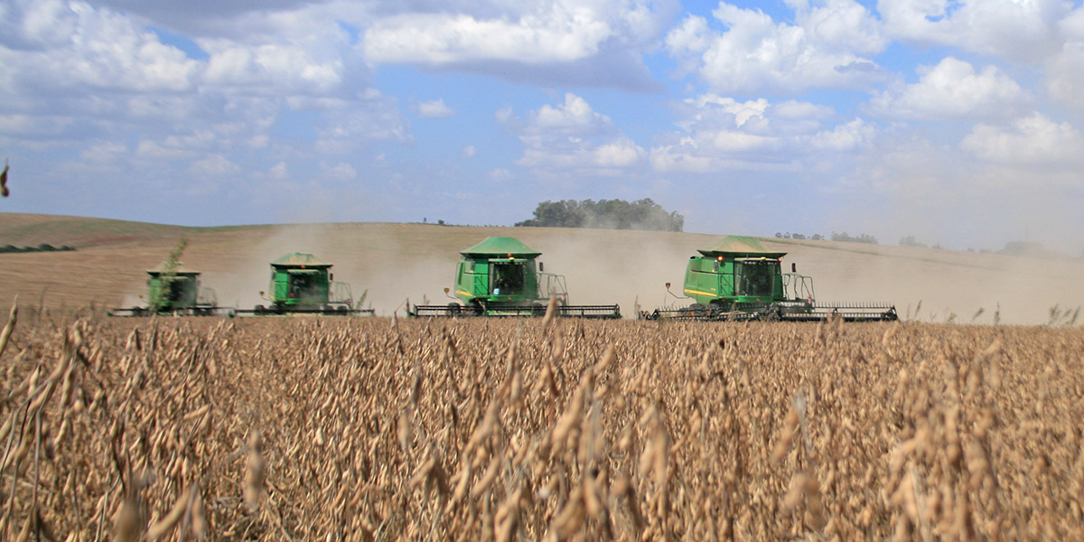 PIB do agronegócio cresceu 3,81% em 2019
