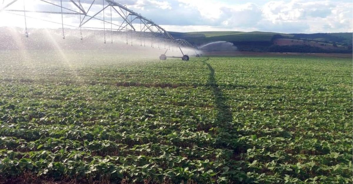 Pivôs possibilitam estabilidade econômica ao produtor