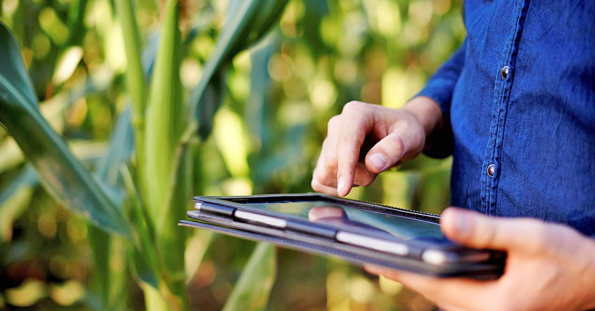 Produtor Rural, é hora de fazer o dever de casa
