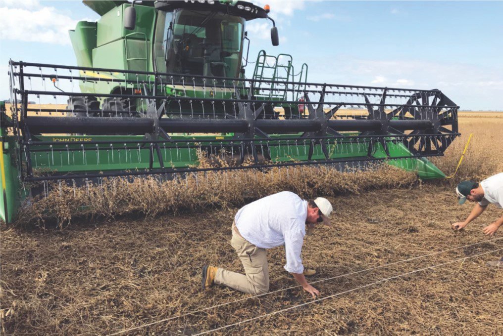 Agrotec – Cada grão conta