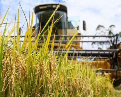 Foto Eduardo Montecino/OCP News