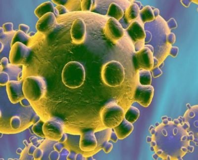 Coronavírus/ Foto: Divulgação/Josué Damacena (IOC/Fiocruz)