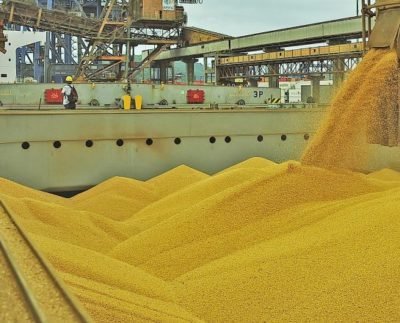 Foto: Dylan Della Pasqua - Agência SAFRAS