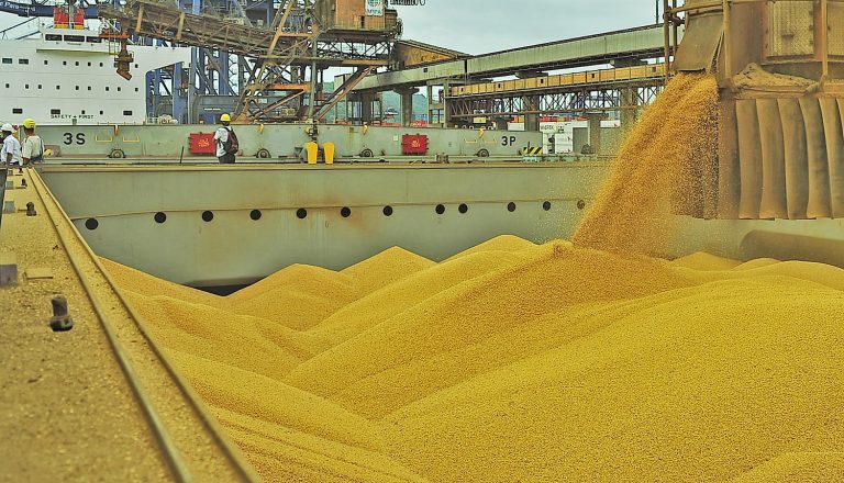 Argentina deve elevar taxa de exportação da soja para 33%
