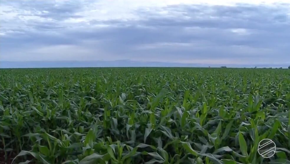 Outono prevê fim da estiagem no Rio Grande do Sul