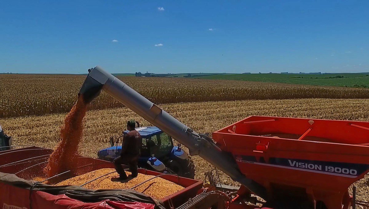 RS conclui safra de verão e se prepara para as culturas de inverno