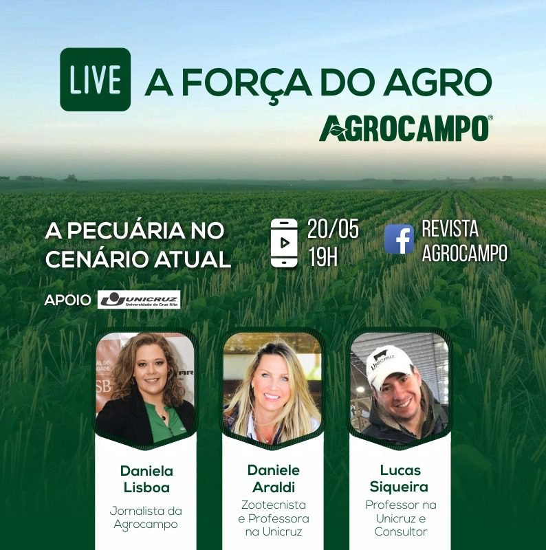 LIVE: A pecuária no cenário atual