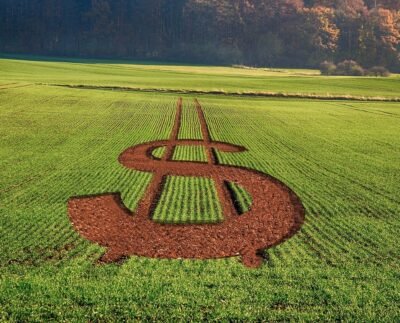 Imagem ilustrativa/Foto: Pixabay/montagem