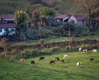 Foto: Fernando Dias/Seapdr