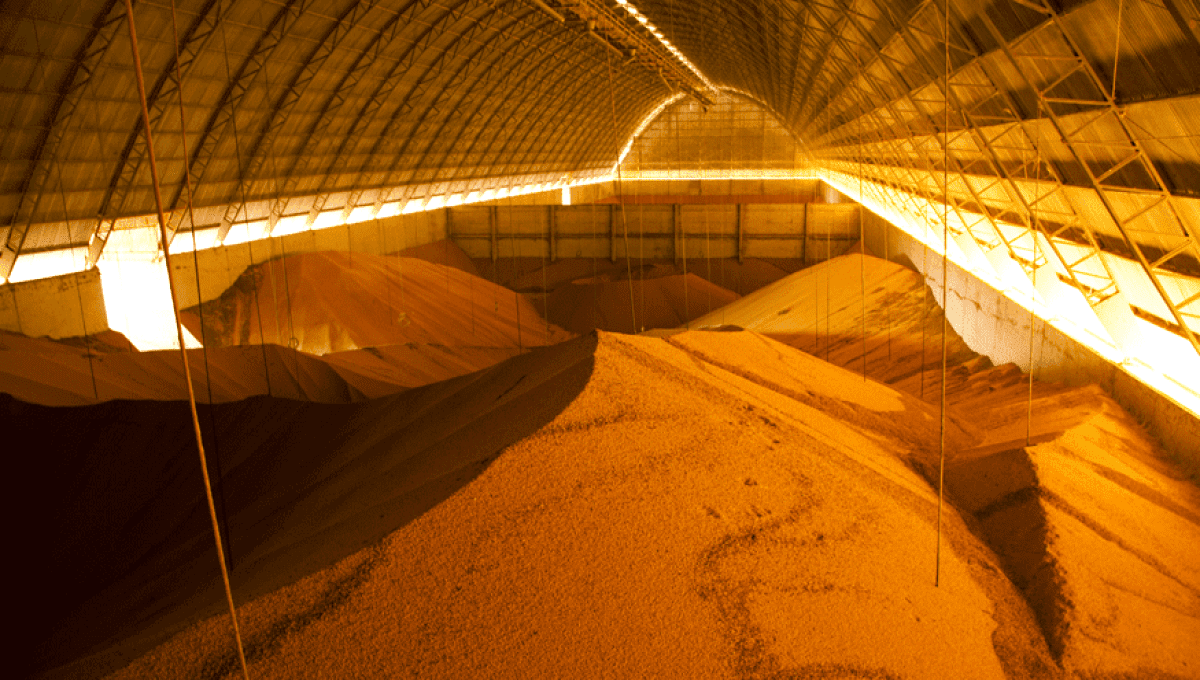 Estimativa do IBGE mantém recorde para safra de grãos em maio de 2020