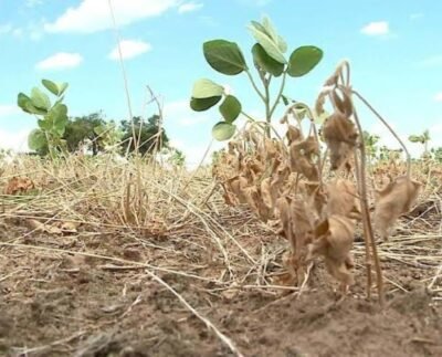Foto: Prefeitura de Panambi