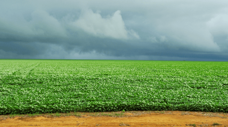 Chuva se espalha pelo RS durante essa semana