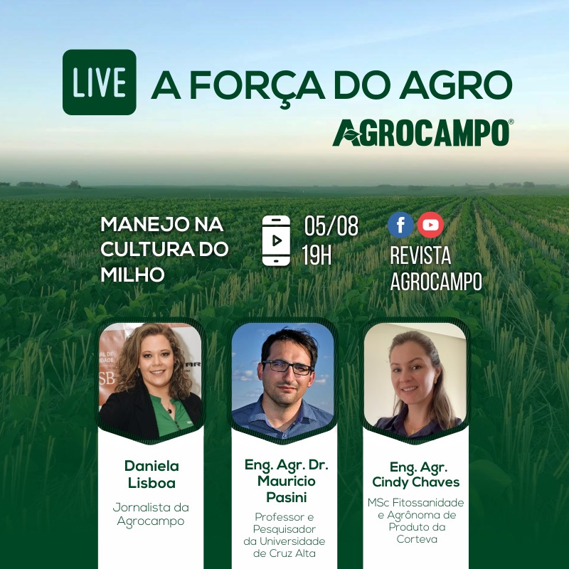 LIVE: Manejo na Cultura do Milho