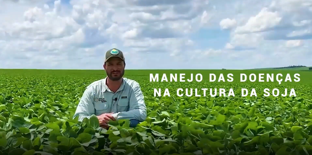 Dicas do Consultor: Manejo de Doenças na Cultura da Soja