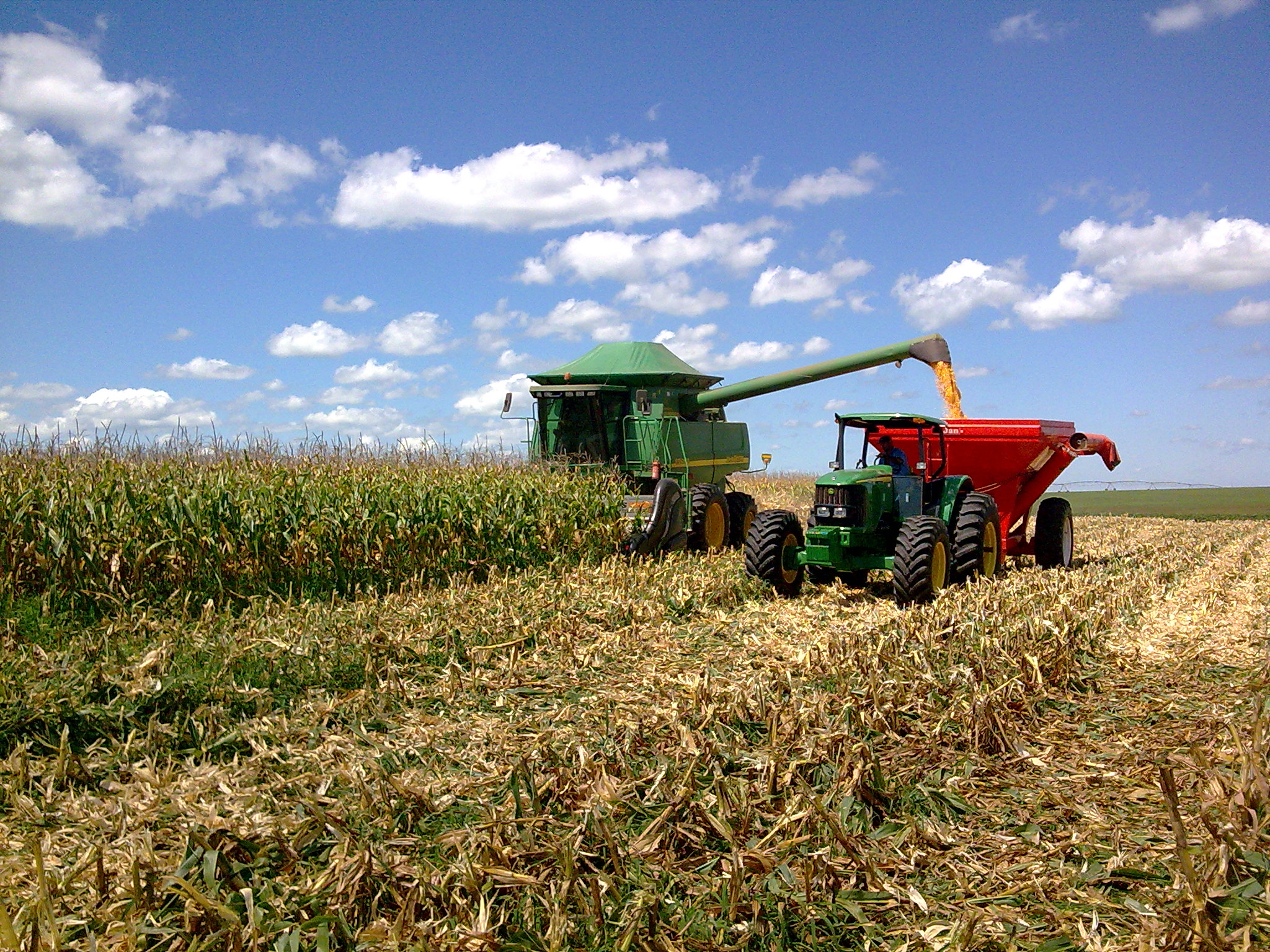 Caixa aumenta em 20% oferta de crédito rural