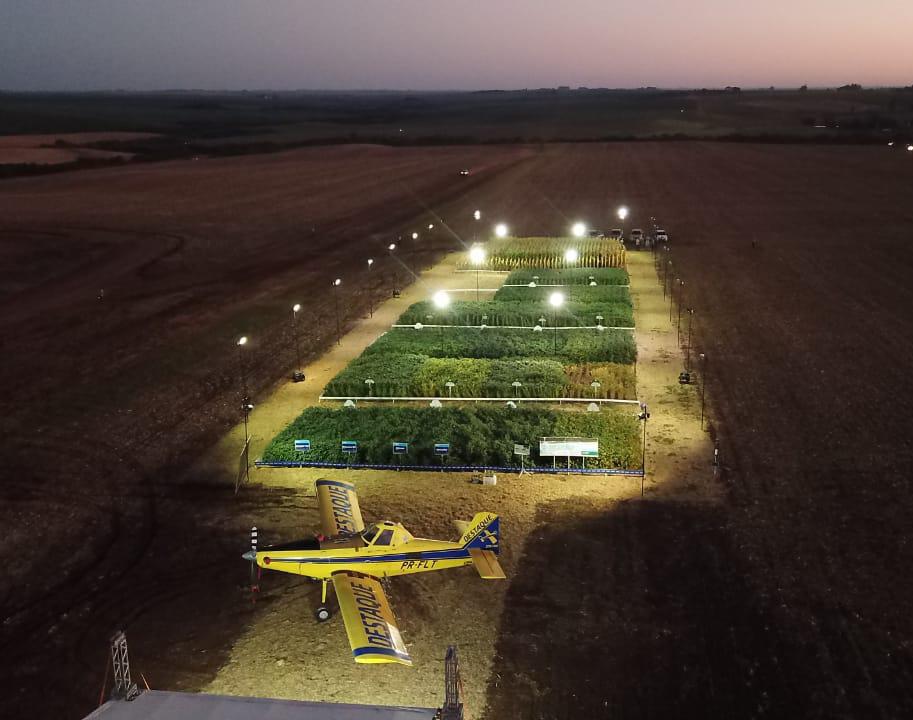 Produtores participam de rally da Sementes Aurora