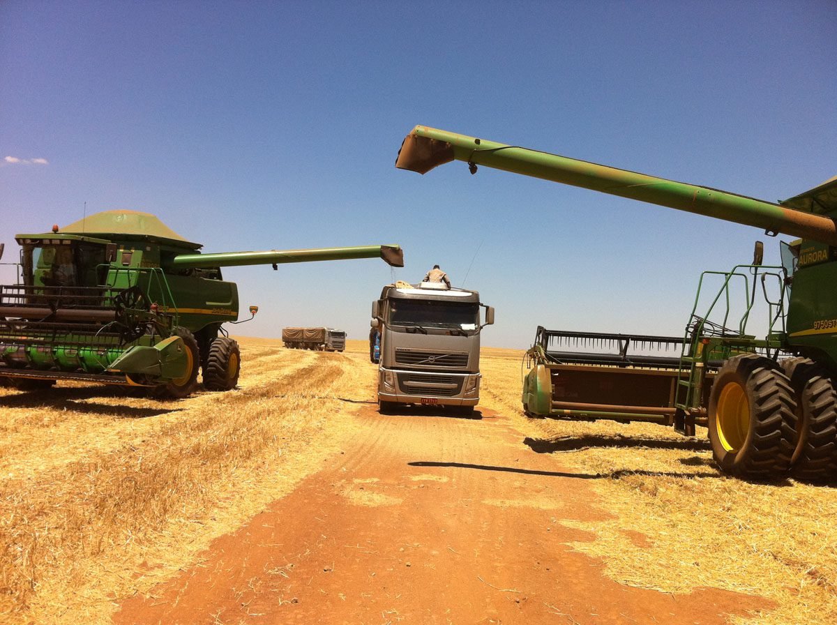 CONAB prevê aumento de produção de grãos na safra 2020/21