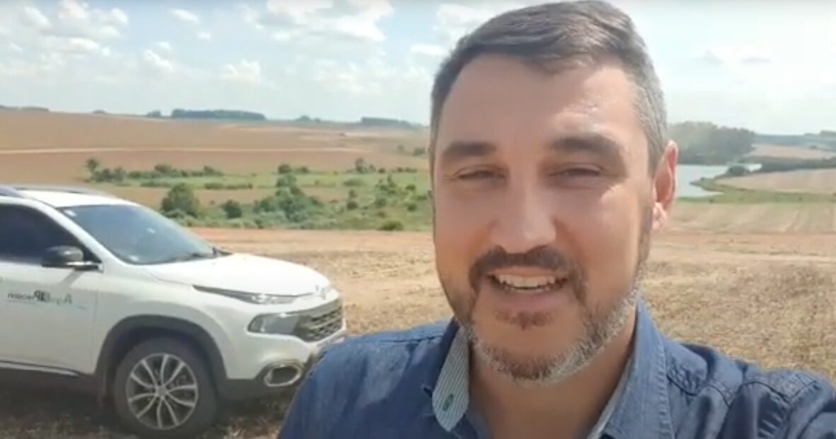 Principais cuidados com o solo após a colheita da soja