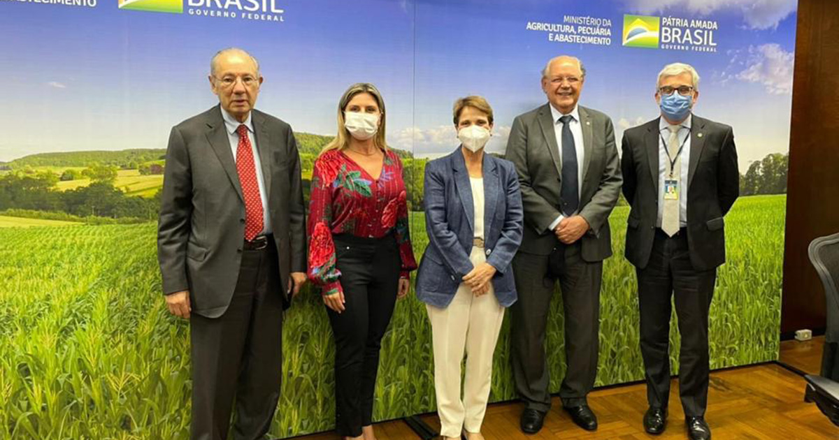 Conflito entre Rússia e Ucrânia reforça a necessidade de ampliar a produção de trigo em solo brasileiro