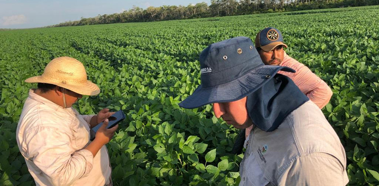 Tecnologia de startup brasileira é utilizada por produtores da Bolívia e Paraguai