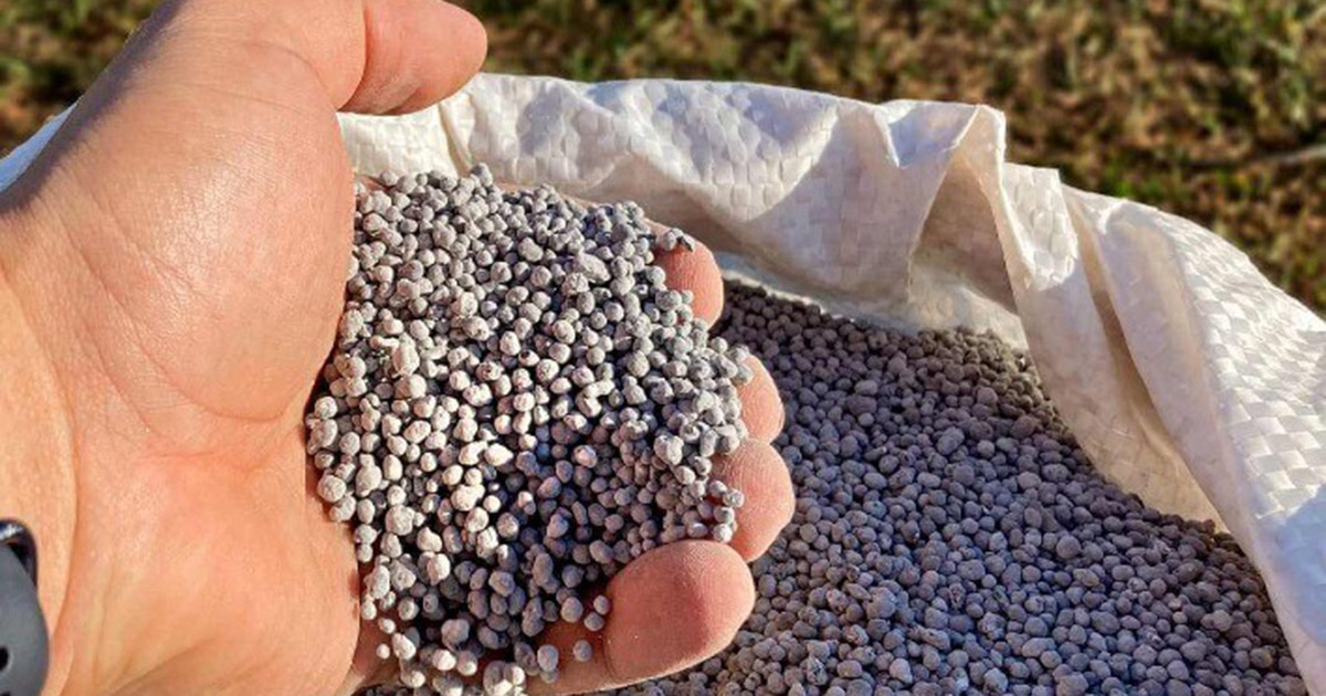 Dia 31 tem webinar sobre a relação entre os fertilizantes e a saúde