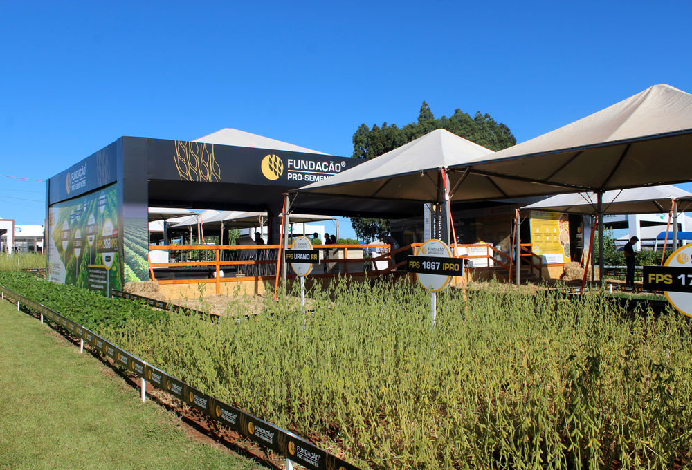 Fundação Pró-Sementes leva seu portfólio de cultivares para a Expodireto Cotrijal