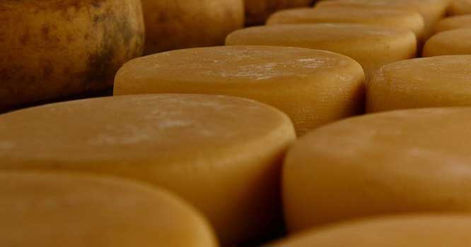Setor lácteo rechaça isenção de queijo importado 
