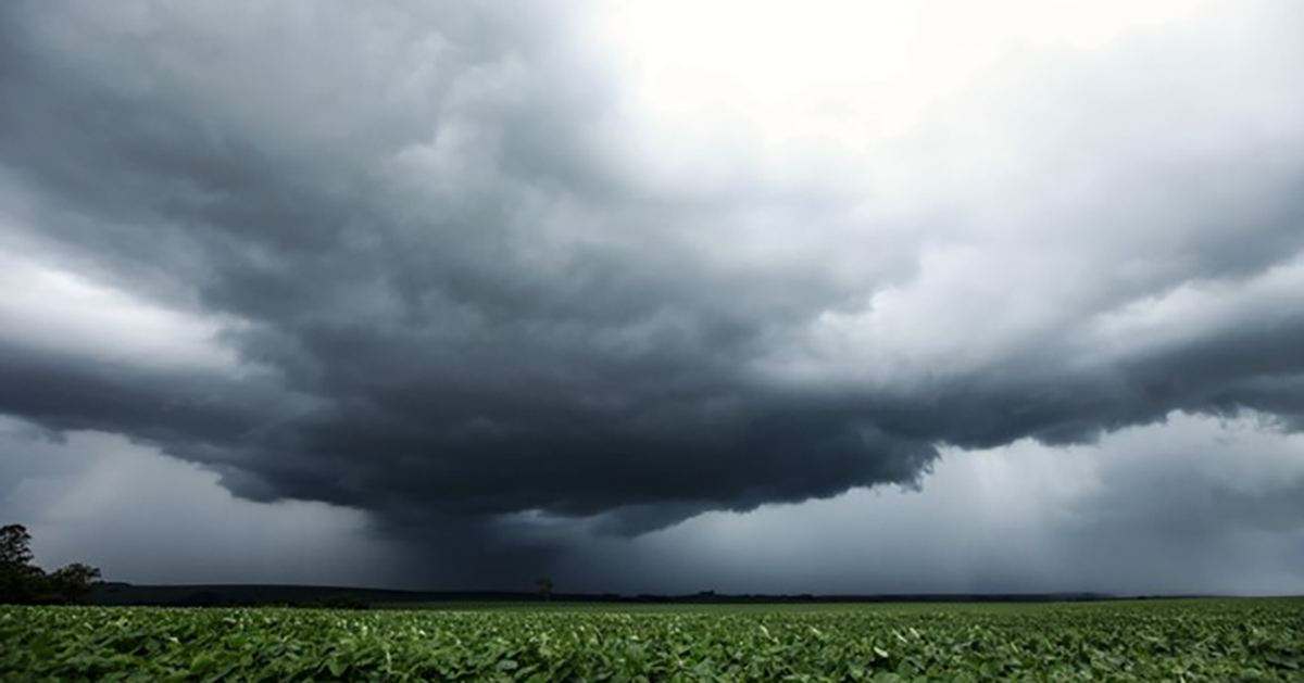 Semana começou com chuva, o que esperar para os próximos dias?