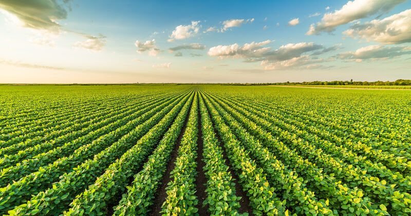 Fungicida Biológico da IHARA para cultura da soja resulta em um incremento de 5% da produtividade na safra 21/22  