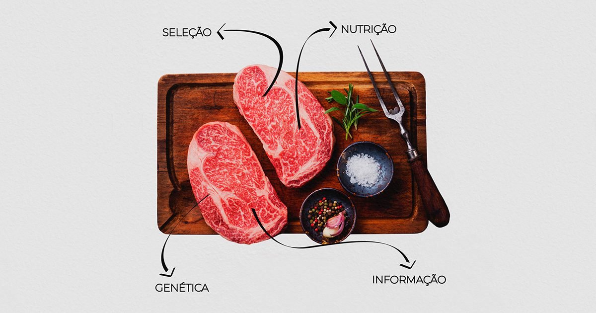 Melhoramento bovino é o foco de evento em Bagé