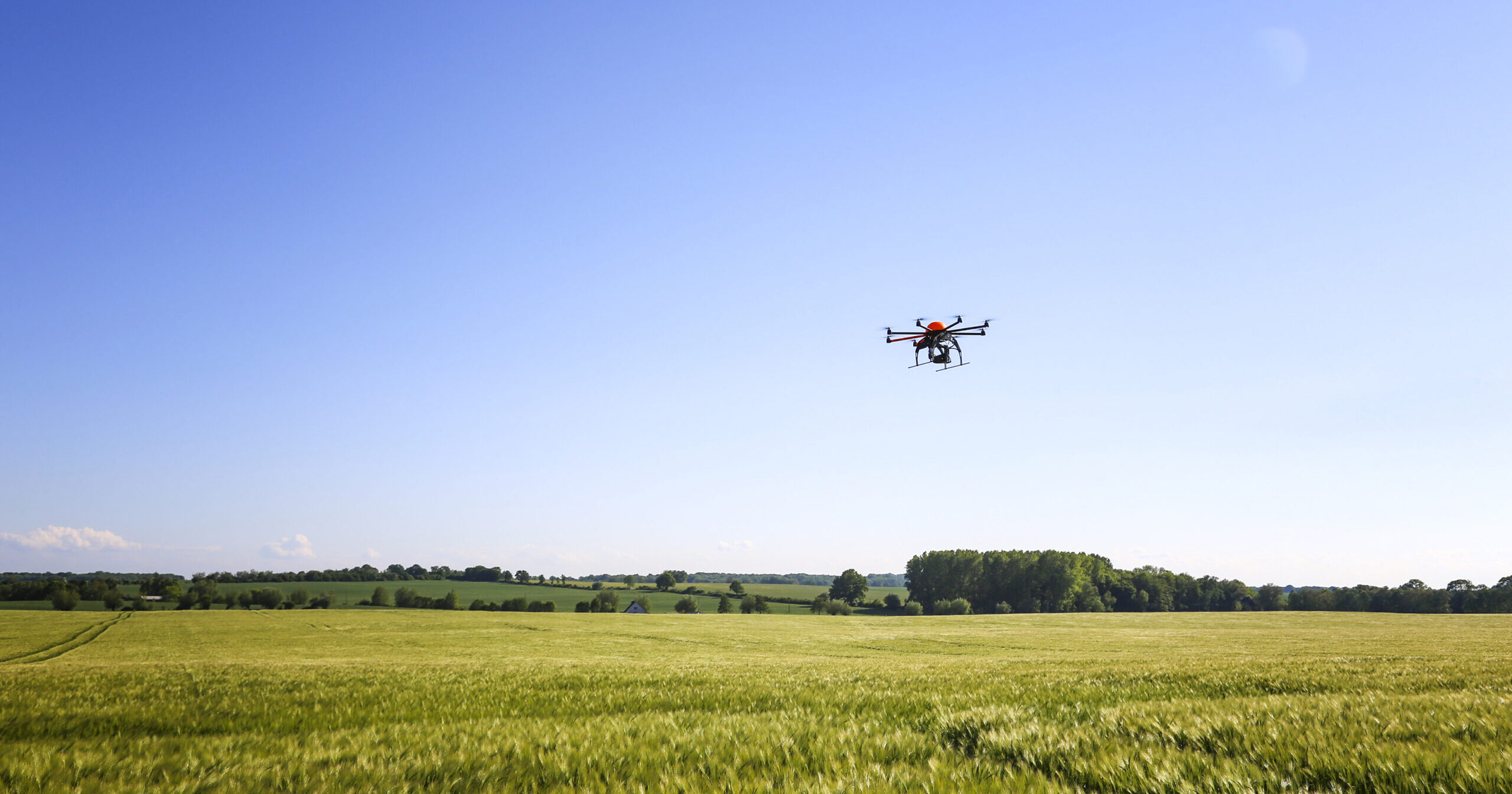 BASF lança plataforma de vendas para a indústria de adjuvantes para defensivos agrícolas