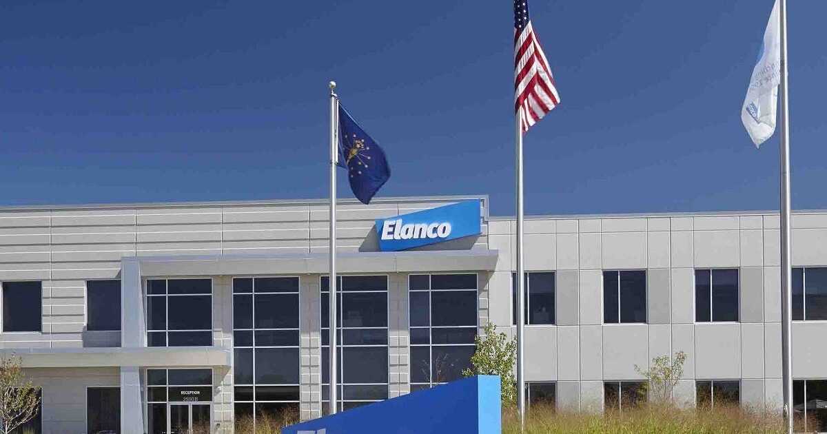 Produtos Elanco, da linha de suinocultura, recebem certificação internacional por atendimento a requisitos de Bem-Estar Animal