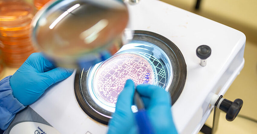 Reunião debate desafios e oportunidades para inoculantes microbianos no Brasil