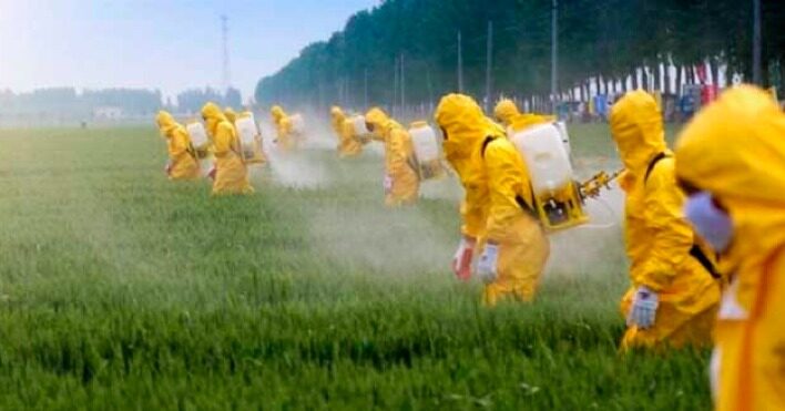 ESEM-USP e CropLife, lançam curso sobre Mercado de Insumos Ilegais