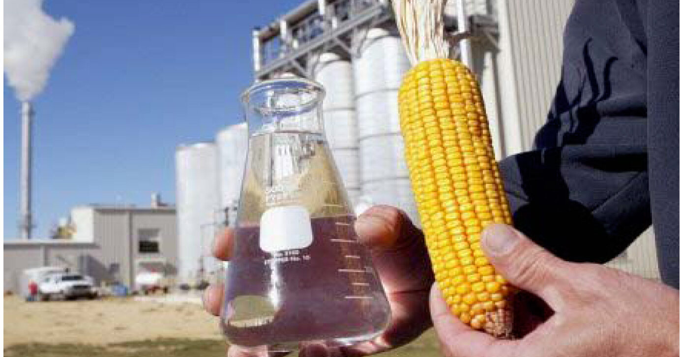 Etanol de milho é a integração da produção de alimento e energia