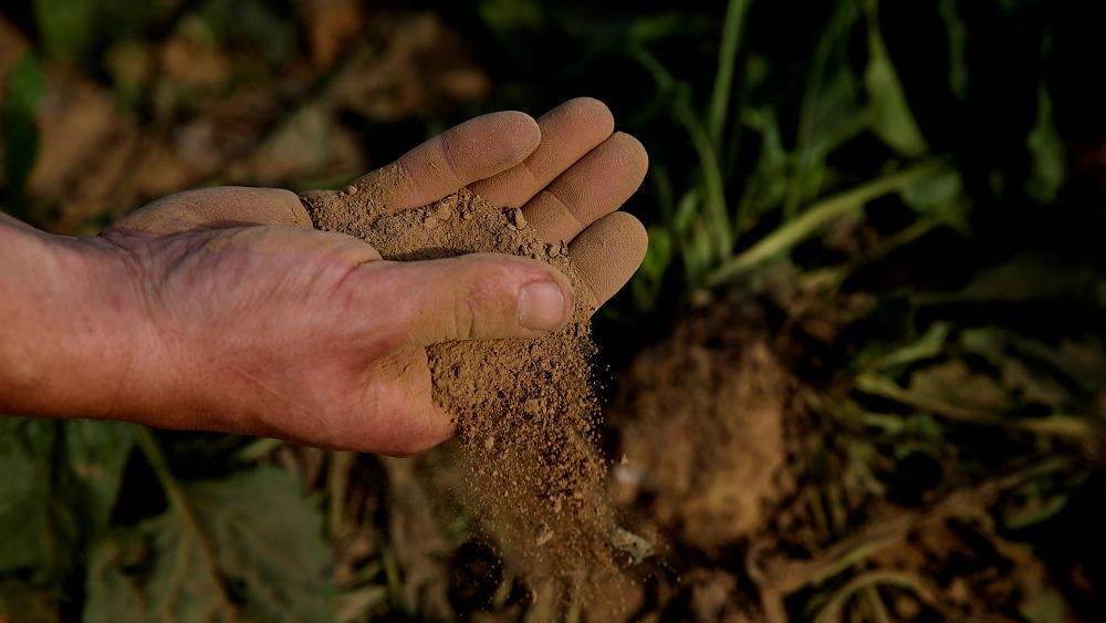 Agricultores do programa PRO Carbono apresentaram pegada de carbono até 80% menor do que padrões internacionais