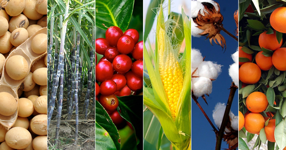 Ipea, Conab e Cepea mapeiam principais produtos agropecuários e analisam impacto da guerra entre Rússia e Ucrânia nos preços