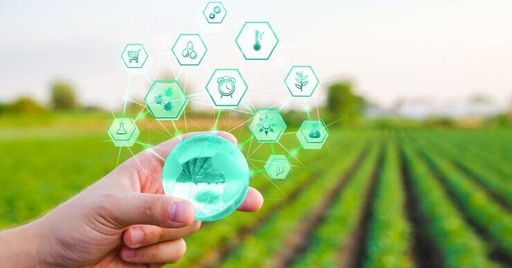 Safras Armazéns Gerais implementa SAP S/4HANA para impulsionar resultados operacionais