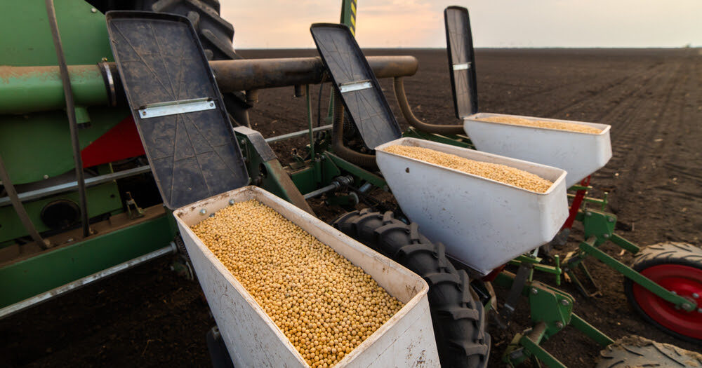 DATAGRO corta estimativa da safra brasileira de soja 2021/22